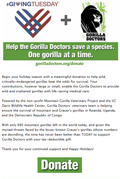 30 Creative Email Ideas For Your Holiday Email Marketing image Gorila Doctors Giving Tuesday 404x600.png
