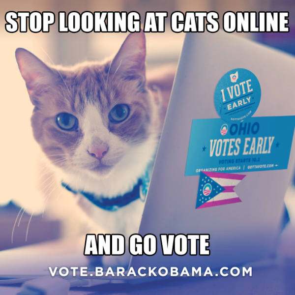 24 Cats More Likely To Vote On Election Day Than Most Americans image election day 600x600