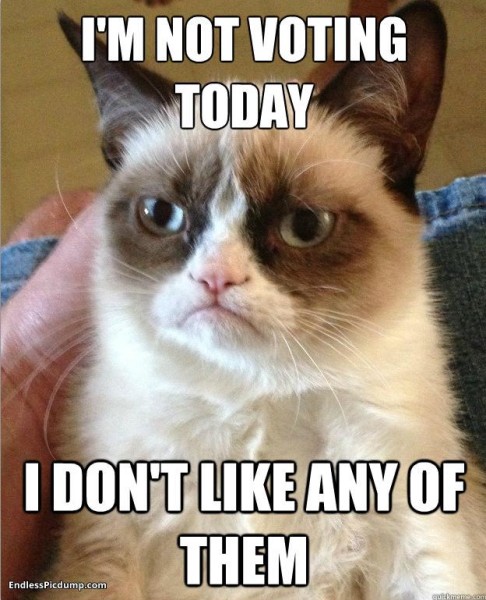 24 Cats More Likely To Vote On Election Day Than Most Americans image grumpy cat not voting 486x600