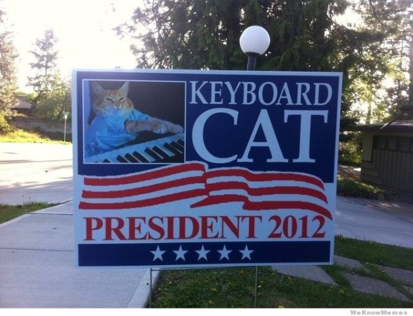 24 Cats More Likely To Vote On Election Day Than Most Americans image 
