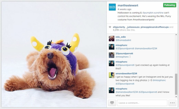 How Martha Stewart Is Killing It With Content This Halloween image martha stewart puppy instagram resized 600.jpg