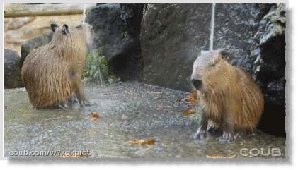 How I Spent 10 Minutes Per Week To Triple My Twitter Followers How I Spent 10 Minutes Per Week To Triple My Twitter Followers image Triple My Twitter Followers 10.jpg