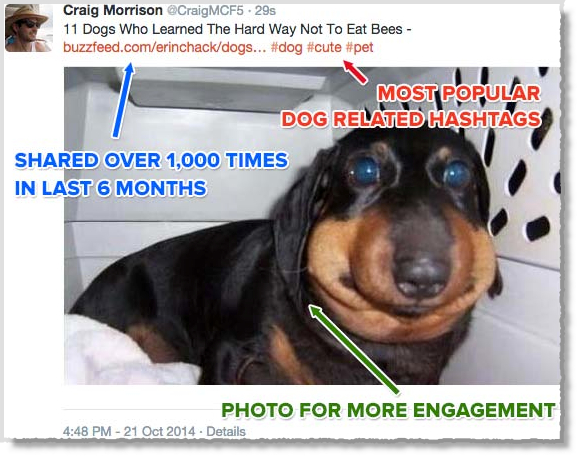 How I Spent 10 Minutes Per Week To Triple My Twitter Followers How I Spent 10 Minutes Per Week To Triple My Twitter Followers image Triple My Twitter Followers 2.jpg