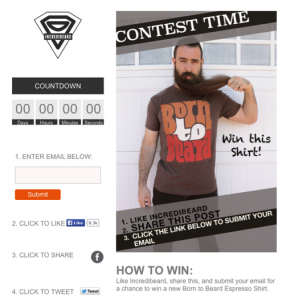 The Top 10 Facebook Campaigns of 2014 image Incredibeard 286x300.png