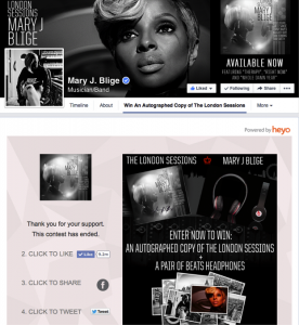 The Top 10 Facebook Campaigns of 2014 image MaryJBlige 276x300.png
