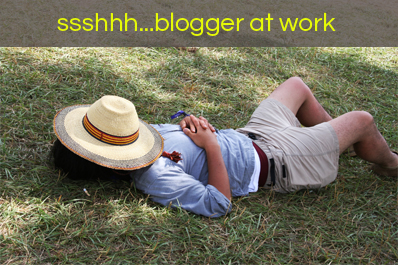 The Real Reason I Blog: Im Lazy image blogger.jpg
