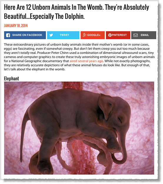 22 Viral Headlines You Need To Learn From Right Now