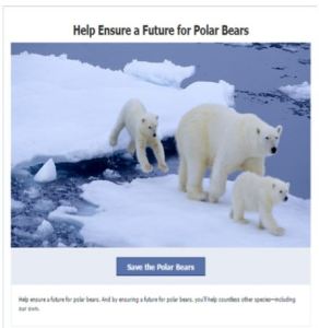 Help Ensure A Future for Polar Bears