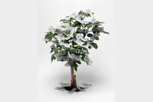 Money Tree