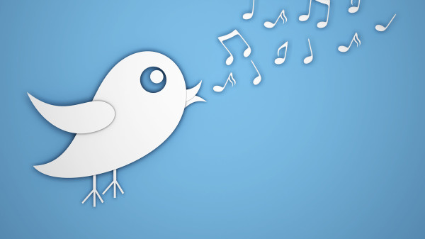 How to follow up on link requests tweet bird singing