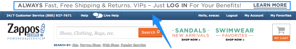 How to Improve Website Usability to Sell More - Zappos USP Website