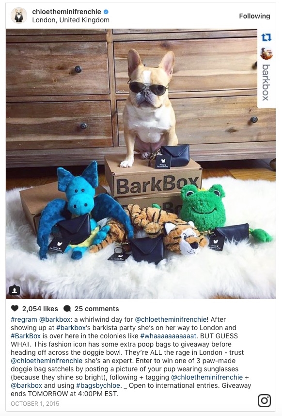 How to Use Micro-Influencers For Your Small Business