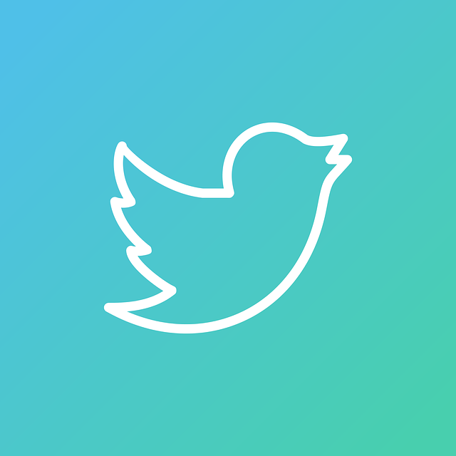 Can I Schedule Tweets from Twitter Itself?