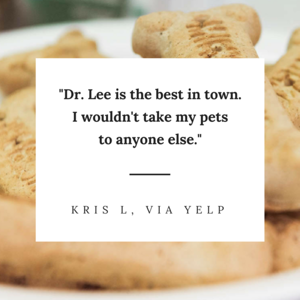 The Best Facebook Content Ideas for Your Small Business The Best Facebook Content Ideas for Your Small Business