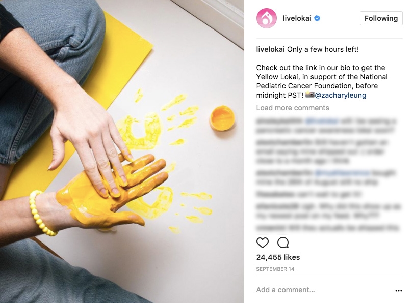 15 Awesome Examples Of Instagram Posts That Drive Sales 15 Awesome Examples Of Instagram Posts That Drive Sales