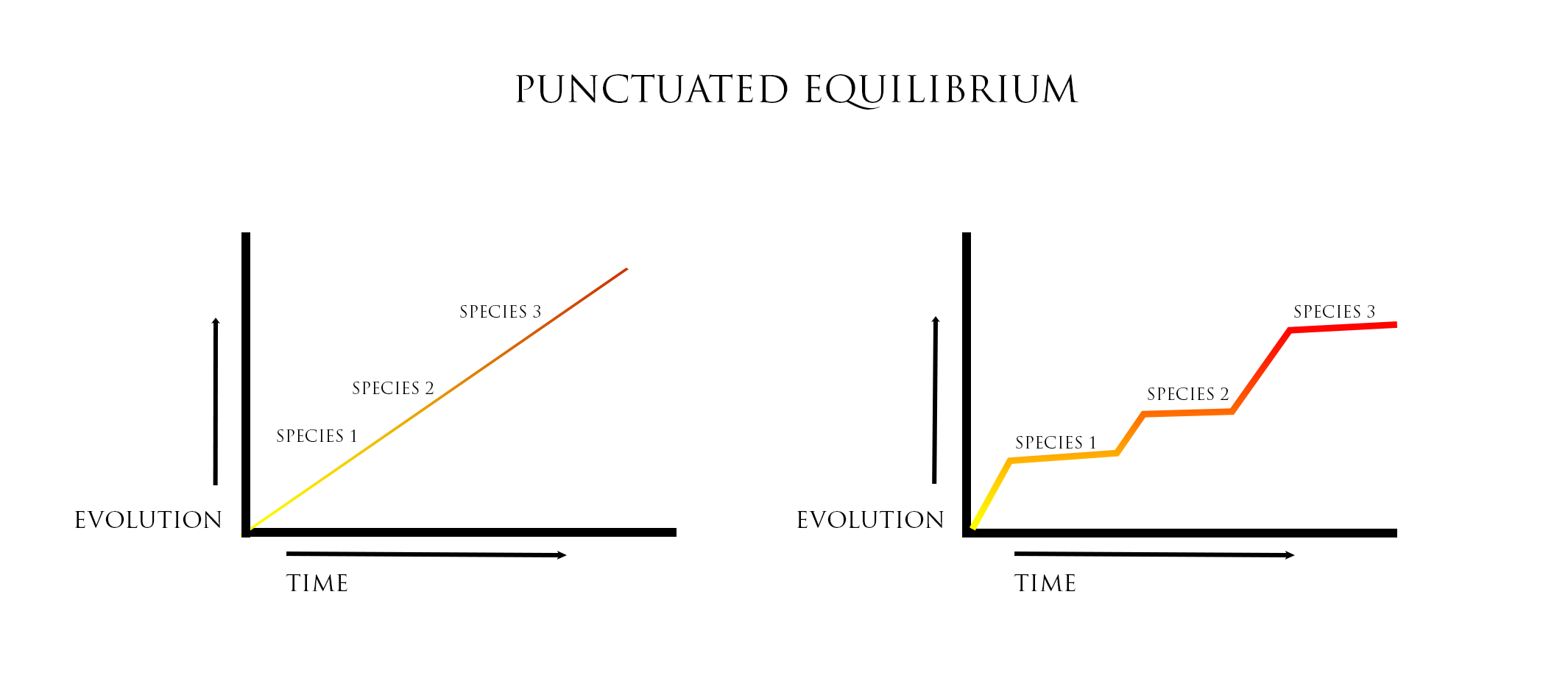 How to Change Your Life Using Punctuated Equilibrium