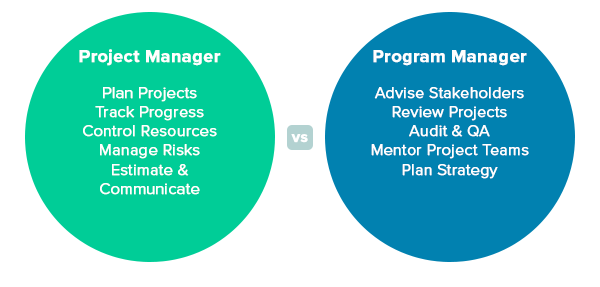 Program Management: Definition, Roles, Responsibilities, and Resources