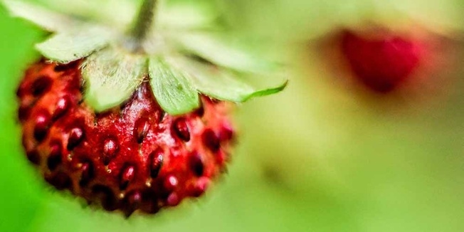 15 Simple Recruiting Tips You’ll Be Happy You Learned