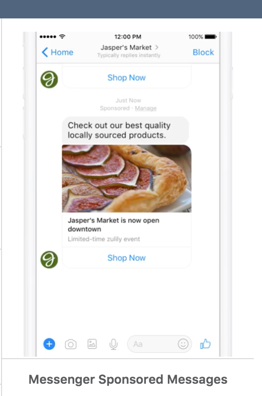 The Ultimate Guide to Facebook Ad Placement Optimization