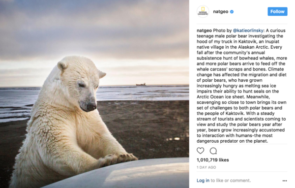 10 Easy Ways to Get More Instagram Likes