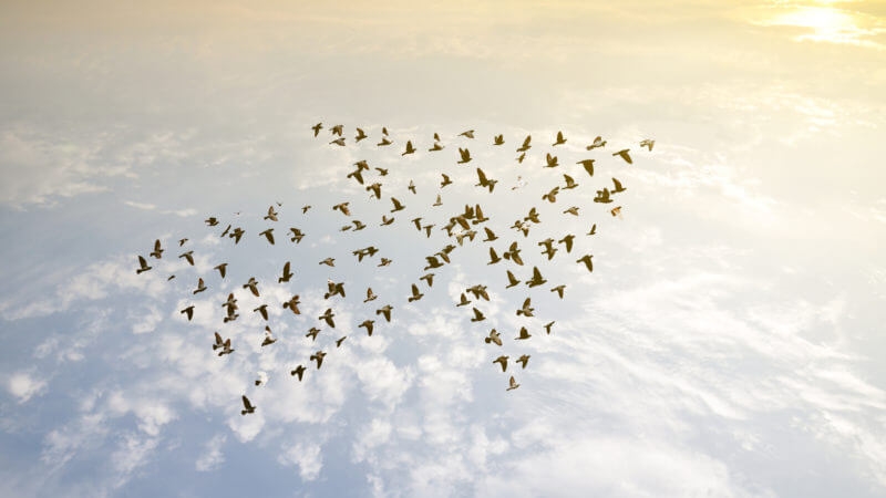 There is no ‘I’ in successful ABM