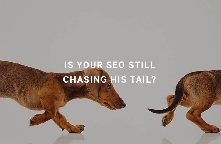 Why So Many SEOs are Chasing Their Tails