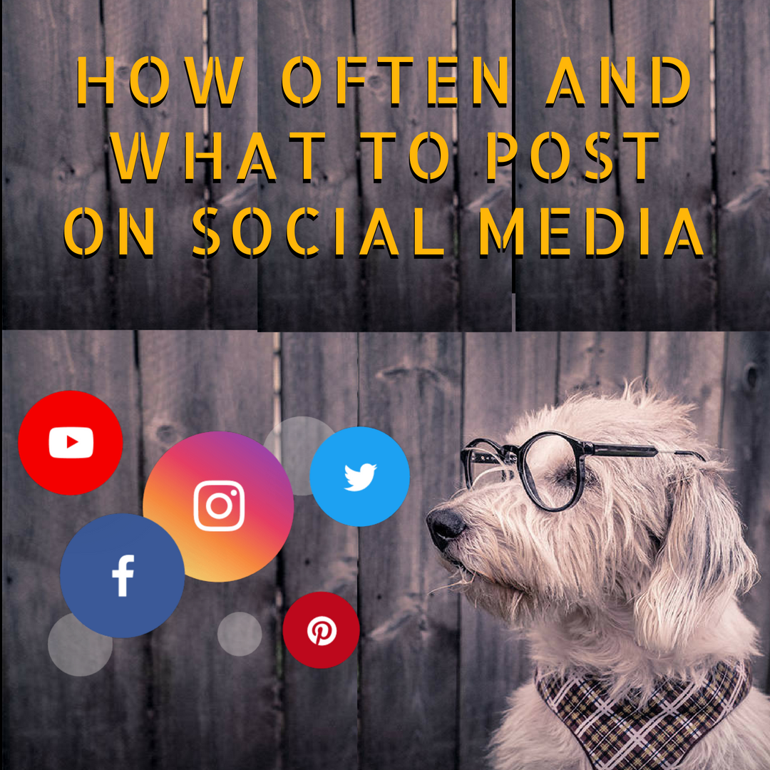 How Often And What To Post on Social Media How Often And What To Post on Social Media