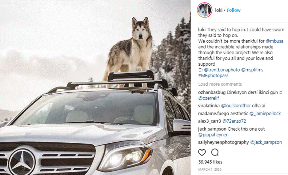 11 of the Best Influencer Marketing Campaigns