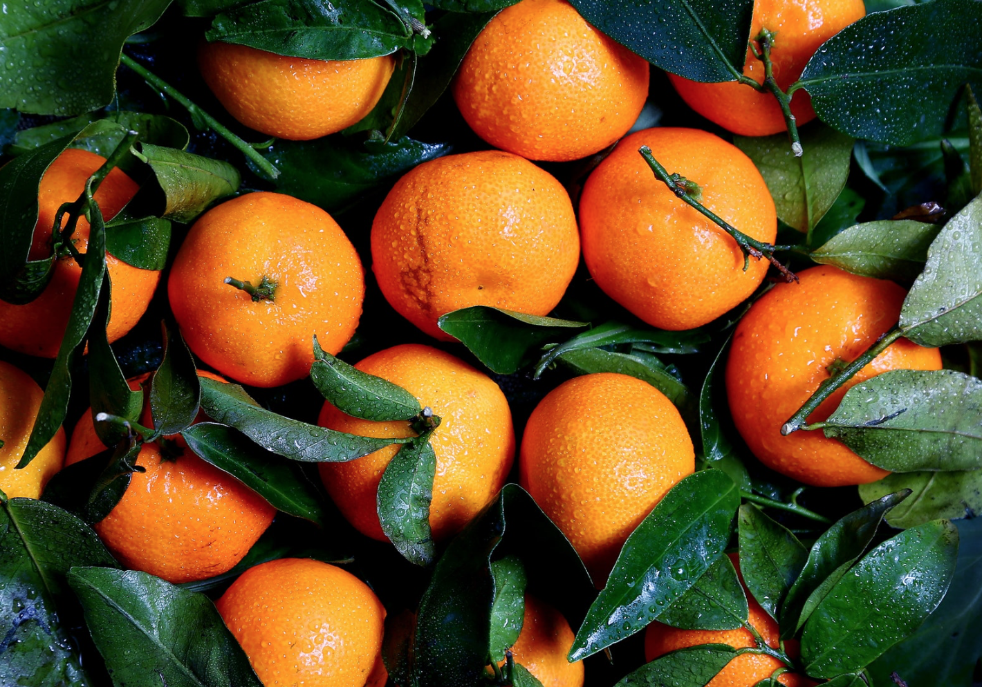 The Psychology of Color in Marketing and What It Means for Your Video Ads The Psychology of Color in Marketing and What It Means for Your Video Ads