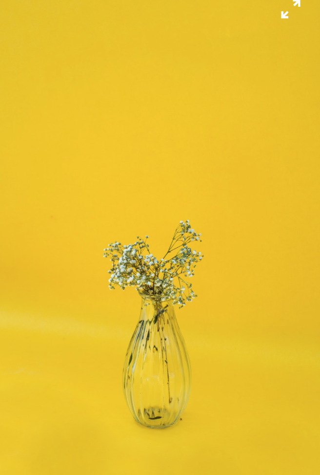 The Psychology of Color in Marketing and What It Means for Your Video Ads The Psychology of Color in Marketing and What It Means for Your Video Ads