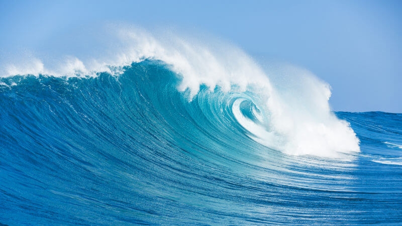 Forrester issues first Wave report on Experience Optimization
