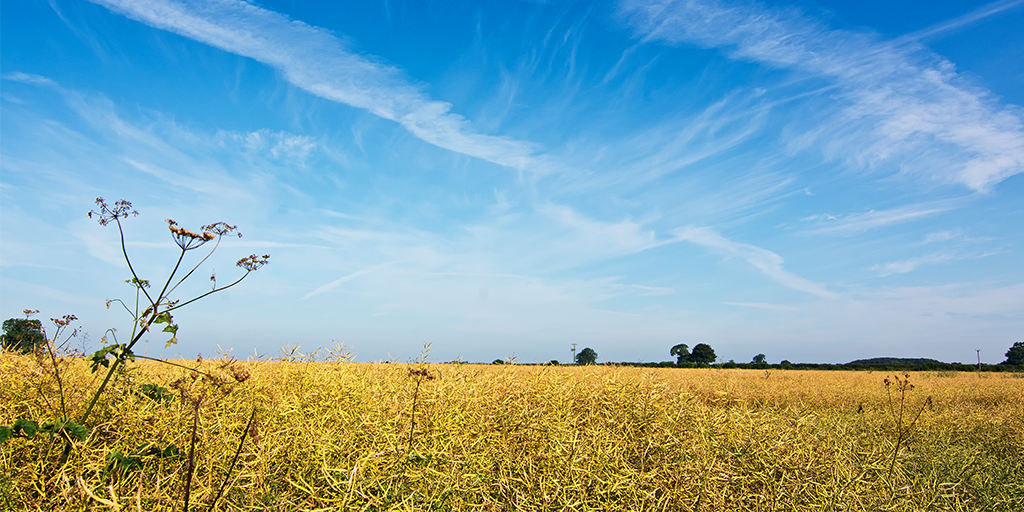 How to Get Inspired and Have Killer Ideas Without Trying