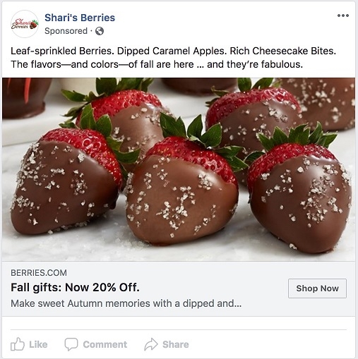 Why Your Ecommerce Strategy Needs Facebook’s Ad Transparency Tools, Now Facebook ad transparency ecommerce strategy Sharis Berries ad