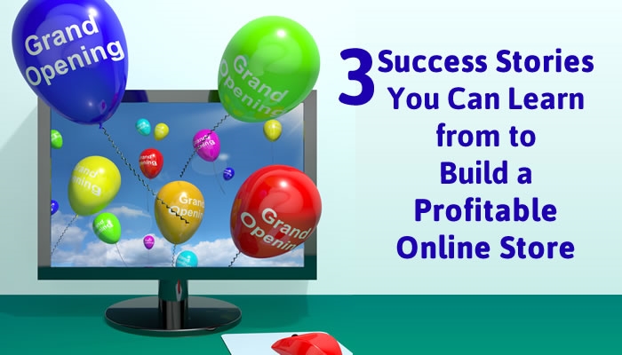 3 Success Stories You Can Learn from to Build a Profitable Online Store