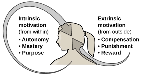 How to Unleash the Inner-Motivator Within: 3 Strategies that Inspire Intrinsic Motivation How to Unleash the Inner-Motivator Within: 3 Strategies that Inspire Intrinsic Motivation