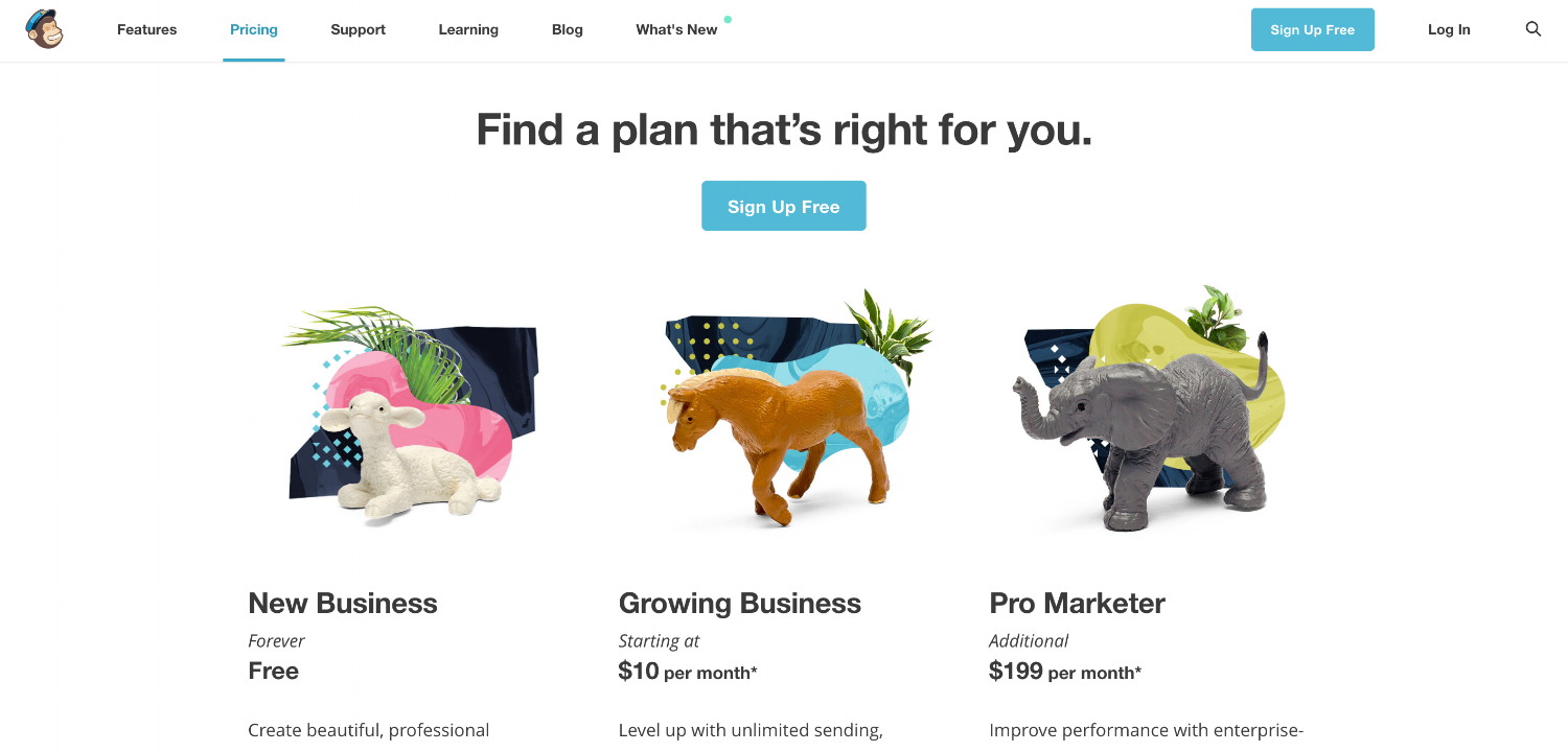 How to Develop a Pricing Strategy for Higher Conversions