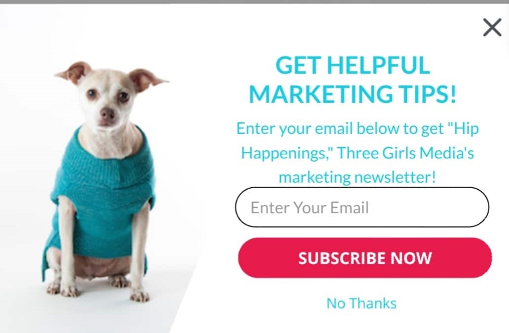 Digital Marketing Advice: How To Avoid Rude Email Subscription Options