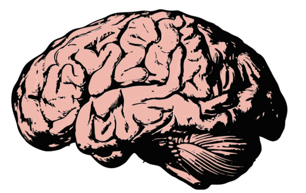 How Intrinsic Employee Motivation Will Help You Build Your Dream Team How Intrinsic Employee Motivation Will Help You Build Your Dream Team