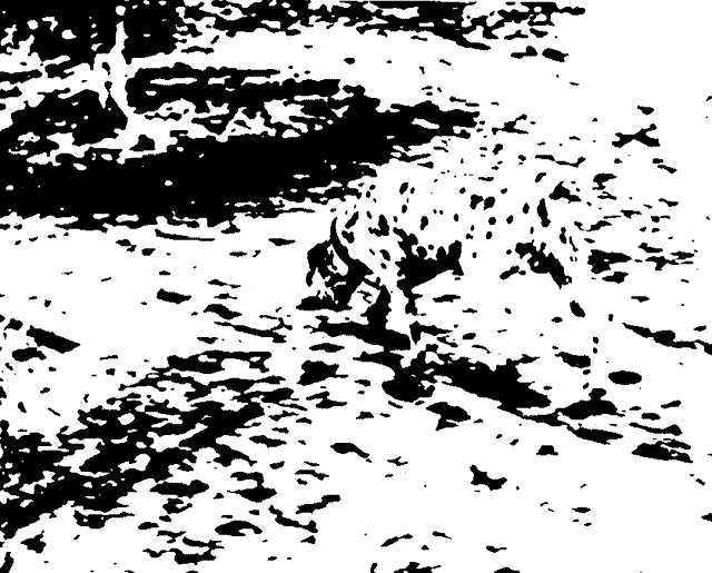 8 Web Design Principles to Know in 2019 example of gestalt design