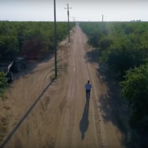 6 Crucial Elements to Include in Every Branded Video