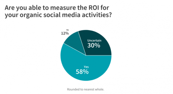 pie chart of answers no(12%25), uncertain (30%25), yes (58%25)