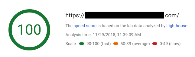 Is Your Web Developer Spoofing Your PageSpeed Insights Score?