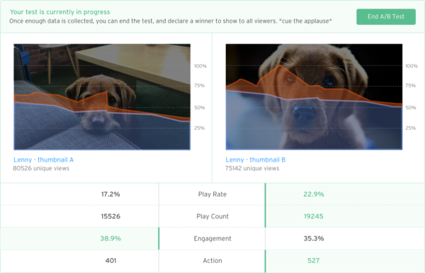 Video Hosting Platforms: Which Is Best for Your Business?