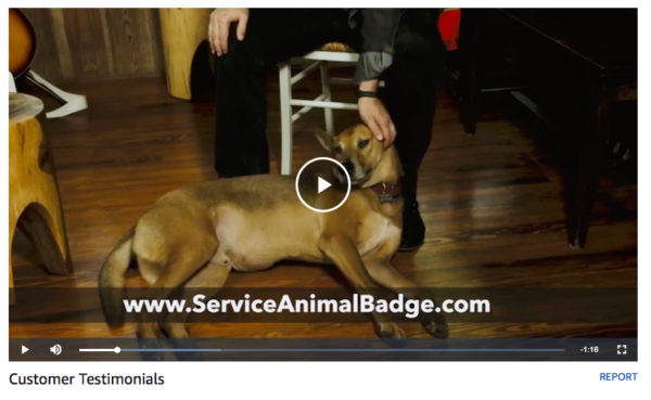 Ecommerce  and  Video: 5 Ways to Use Video for Business Growth in 2019