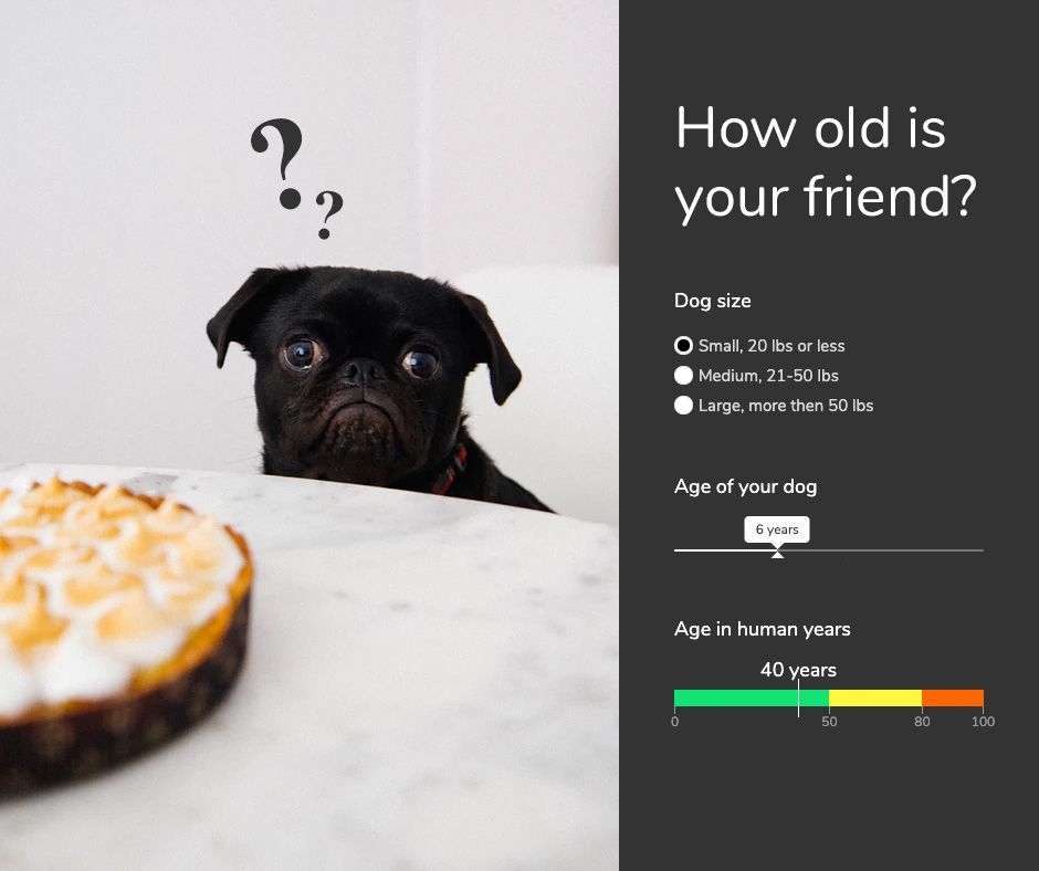 How to Increase Engagement with Interactive Content