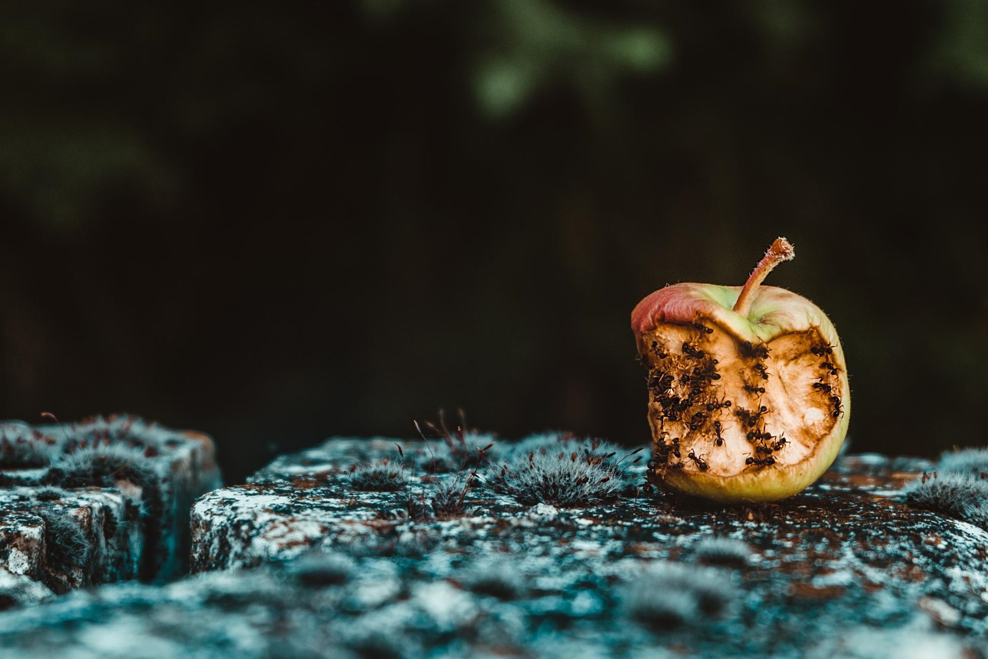 Uncovering The Hidden Costs of Unengaged Employees Uncovering The Hidden Costs of Unengaged Employees