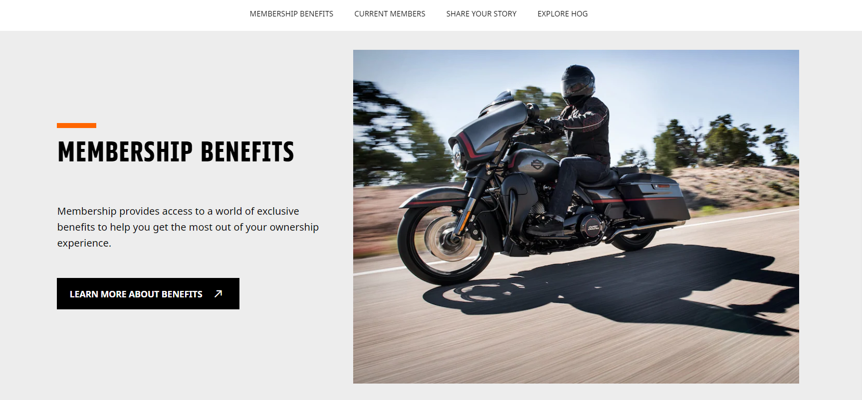 Everything You Need to Know About Building an Online Brand Community