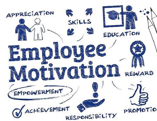 The Best Employee Traits for an Organization The Best Employee Traits for an Organization