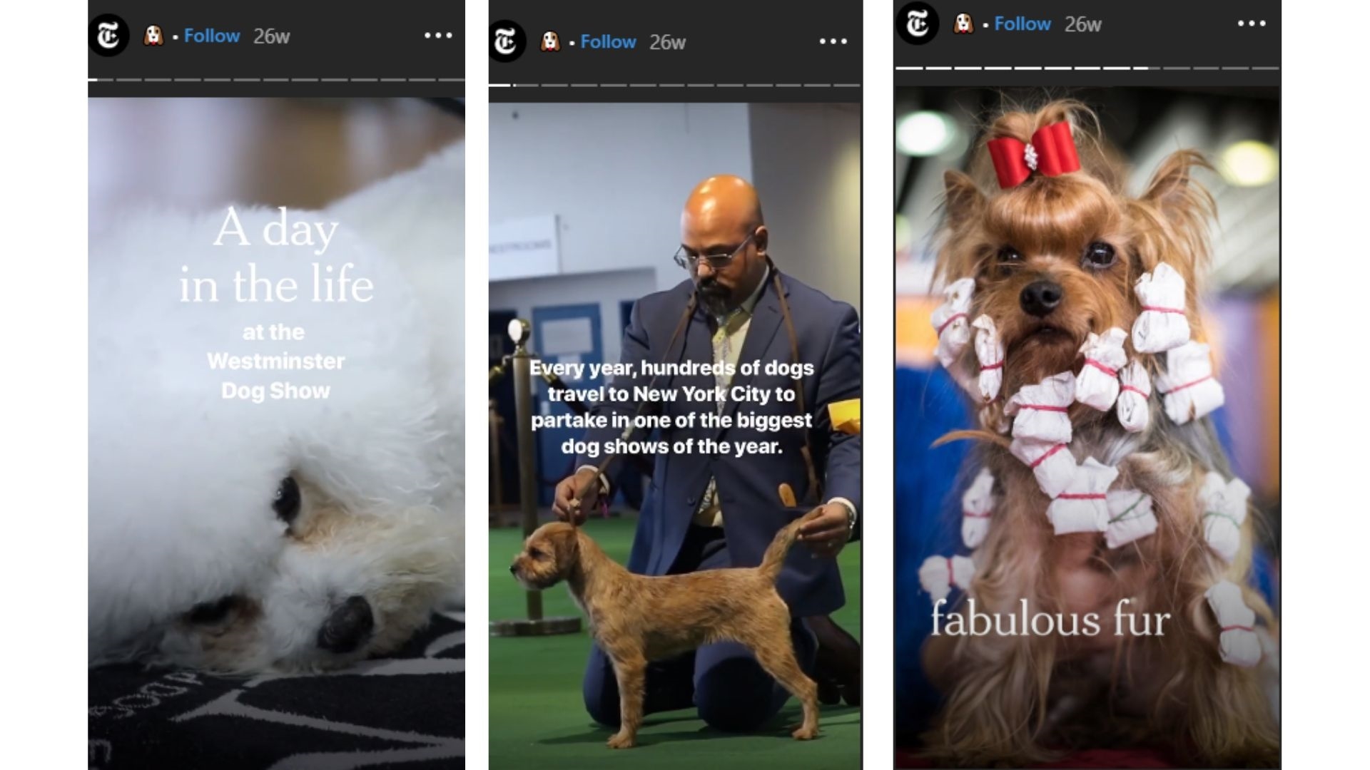 12 Best Instagram Story Apps to Create Amazing Content 12 Best Instagram Story Apps to Create Amazing Content