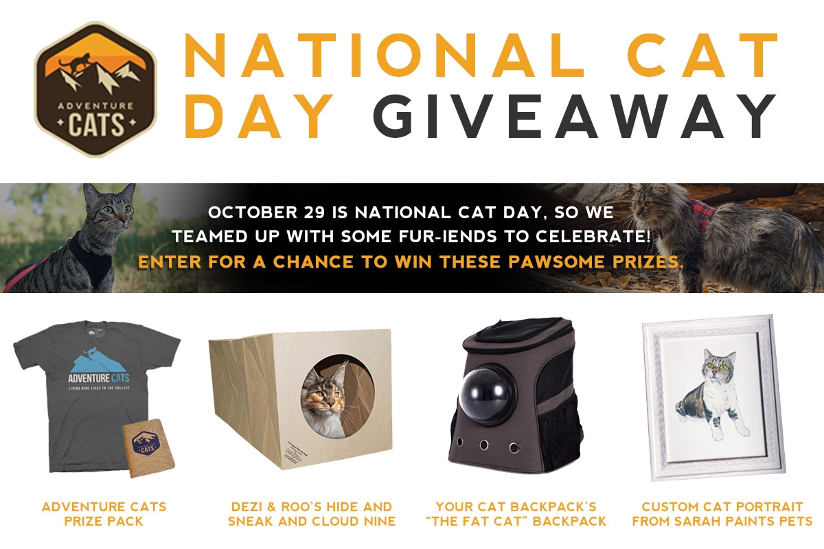 How to Leverage Influencers to Sell More on Amazon How to Leverage Influencers to Sell More on Amazon